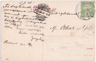 1909 Budapest IX. Ferencváros, Radvánszky és Társa Jégművek, Természetes és mesterséges jégtárolók, ...