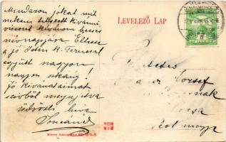 Budapest XII. Erzsébet Vöröskereszt Szanatórium parkja. Győri út 17. (Rb)