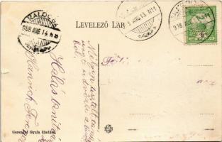 1908 Balatonföldvár, Kresz nyaraló. Gerendai Gyula kiadása (Rb)