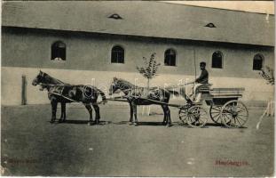 1912 Mezőhegyes, Négyes fogat. Mosonyi Károly kiadása (szakadás / tear)