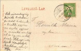 1910 Balatonfüred, Füred; park. Balázsovics Gyula fényképész 1905