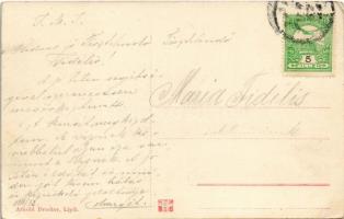 Lipik, Gyógyszálloda / Curhotel / Kupalistno svratiste / spa hotel (EK)