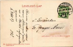 1909 Dévény, Theben a. d. Donau, Devín (Pozsony, Bratislava); vár az 1800. évben. Bediene dich allei...