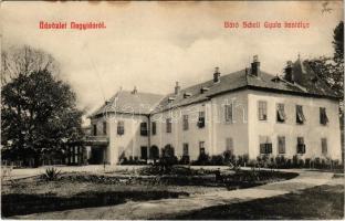 1911 Nagyida, Velka Ida; Báró Schell Gyula kastélya / castle (Rb)