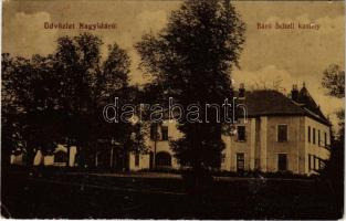 1911 Nagyida, Velka Ida; Báró Schell kastély / castle (Rb)