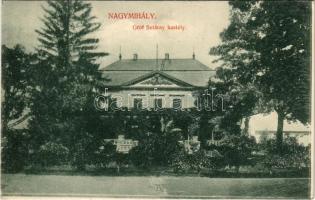 1910 Nagymihály, Michalovce; Gróf Sztáray kastély. Landesmann B. kiadása / castle