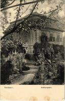 1910 Komárom, Komárnó; Beöthy nyaraló az Erzsébet szigeten / Alzbetínsky ostrov / island villa (EK)