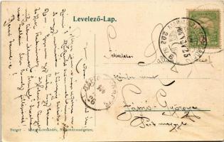 1906 Borsabánya, Baia Borsa, Baile Borsa (Máramaros); Volcsava Ptyitra és a Patyika völgye a Csigla ...