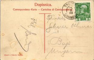 1909 Trsteno, Cannosa (Dubrovnik, Ragusa); Gorostasni makljeni / Riesenplatanen / Giant plane tree /...