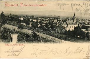 1899 (Vorläufer) Fehértemplom, Ung. Weisskirchen, Bela Crkva; szőlőhegy. Gustav Wunder / vineyards (Rb)