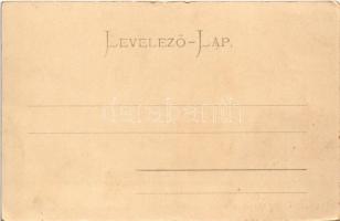 Savnik, Schavnyik, Spissky Stiavnik; Thököly várkastély. Myskovszki Viktor kiadása / castle (EK)