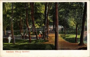 1912 Vihnye, Vihnyefürdő, Kúpele Vyhne; park. Joerges / park