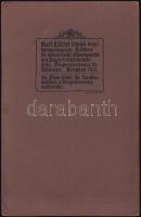 cca 1900 Max von Schillings (1868-1933) német karnagy, zeneszerző, színházigazgató keményhátú fotója...