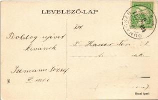 1908 Dunacséb, Dunaczéb, Celarevo; Dungyerszky kastély, templom, Schuhmacher Károly üzlete / castle,...