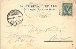 1905 Venezia, Venice; Piazzetta / square. litho (fl)