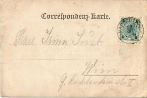 Wien, Vienna, Bécs IX. Gustav Just Specerei Colonialwaren, Delicatessen zum Bienenkorb, Depot Flasch...