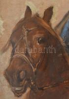 Vágó Pál (1853-1928): Megyei pandúr, 1880 körül. Olaj, karton, jelzett. Proveniencia: Kézdi-Kovács L...