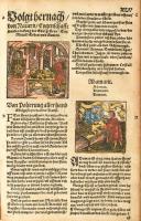 Eucharius Roesslin / Rößlin: Kreuterbuch, von aller Kreuter, Gethier, Gesteine und Metal, Natur, nut...