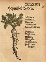 Eucharius Roesslin / Rößlin: Kreuterbuch, von aller Kreuter, Gethier, Gesteine und Metal, Natur, nut...