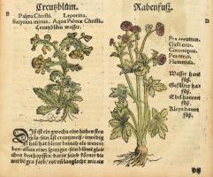 Eucharius Roesslin / Rößlin: Kreuterbuch, von aller Kreuter, Gethier, Gesteine und Metal, Natur, nut...