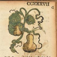 Eucharius Roesslin / Rößlin: Kreuterbuch, von aller Kreuter, Gethier, Gesteine und Metal, Natur, nut...