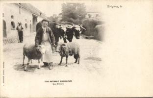 Grignon Agricultural school