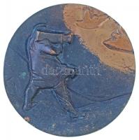 Vígh Tamás (1926-) 1986. "A Szocialista Televízióért" kétoldalas öntött Br érdemérem (570g/92mm) T:1- / Hungary 1986. "For the Socialist Television" two-sided cast Br prize medallion. Sign: Tamás Vígh (570g/92mm) C:AU