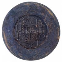 Vígh Tamás (1926-) 1986. "A Szocialista Televízióért" kétoldalas öntött Br érdemérem (570g...