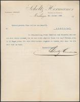 1902 Malaga, Scholtz Hermanos malagai borászati cég Temesvárra írt német nyelvű gépelt levele, Scholtz Hermanos aláírásával