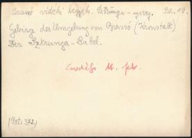 cca 1910-1920 Brassó vidéki hegyek, Sztrunga-nyereg, Erdélyi Mór (1866-1934) felvétele, hátoldalán f...