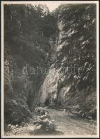 cca 1910-1920 Brassó vidéki hegyek, Propásta, Erdélyi Mór (1866-1934) felvétele, hátoldalán feliratozott fotó, 16x11,5 cm / Brasov (Kronstadt), mountain pass, vintage photo by Mór Erdélyi, 16x11,5 cm