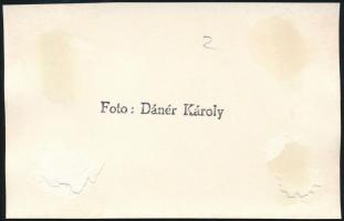 cca 1960 Akt a szabadban, Dánér Károly pecséttel jelzett fotója, 13,5x8,5 cm