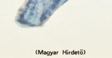 1969 A Pál utcai fiúk, színes amerikai-magyar film, MOKÉP plakát, 57×39,5 cm