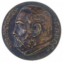Csúcs Ferenc (1905-1999) 1948. Dr. Högyes Endre / Születése 100 éve 1947 kétoldalas Br emlékérem (244,86g/70,5mm) T:2 / Hungary 1948. Dr. Högyes Endre / Születése 100 éve 1947 double-sided Br commemorative medallion (244,86g/70,5mm) C:XF