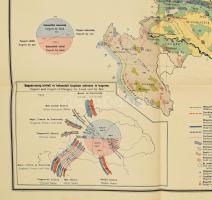 cca 1920 Magyarország gazdaságföldrajzi térképe, dr. Teleki Pál gróf, és dr. Cholnoky Jenő közreműkö...