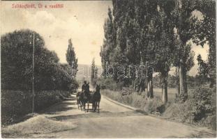 1912 Szliácsfürd, Kúpele Sliac; Út a vasúttól. Molnár M. kiadása / road from the railway station