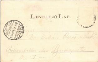 1905 Tövis, Teius; Pályaudvar felső része, vasútállomás, gőzmozdony. Szabolcs Endre kiadása / railwa...