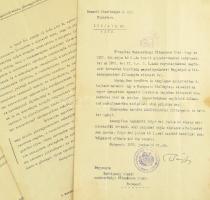 1919-1922 Sztripszky Aladár magyar pénzügyminisztert számellenőr levelezése a ruszkakrajnai miniszte...