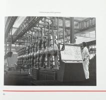 Tabiczky Zoltánné: A Magyar Waggon és Gépgyár Története 1-2. köt. 1. köt.: 1896-1945. 2. köt.: 1946-...