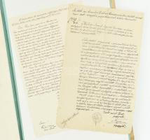 1886 Rimaszombat, Molnár József ügyvéd és fia városi polgárrá választásának díszes oklevele, Rimaszo...