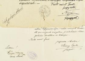 1886 Rimaszombat, Molnár József ügyvéd és fia városi polgárrá választásának díszes oklevele, Rimaszo...