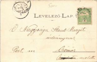 1905 Szőlősgyörök, Szőllősgyörök, Szőllős-Györök; Gróf Jankovich T. kastélya. Puska I. amateur felvé...