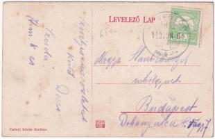 1912 Révfülöp, Szigeti fürdő. Csényi István kiadása (EK)