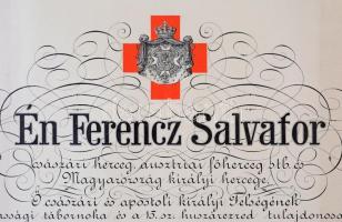 Osztrák-Magyar Monarchia 1916. "A Vörös Kereszt Ezüst Díszérme hadidíszítménnyel" kitüntet...