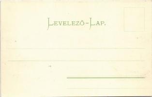 Budapest II. Császár fürdő-kikötő a Margitszigettel szemben, gőzhajó érkező utasokkal. Taussig Arthu...