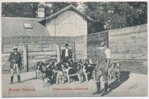 1912 Tordas (Fejér), Dreher uradalom vadászkutyái