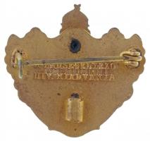 1915. "Kárpáti győzelem 1915" zománcozott Br patrióta jelvény, hátoldalán "A Hadsegél...