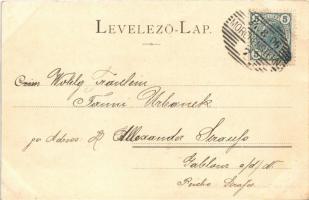 1906 Budapest XIV. Walla József mozaik- és cementáru gyár. Gizella út 36-38. Taenzer & Jaenichen...