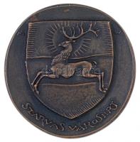 Madarassy Walter (1909-1994) DN Szarvas Városért / Szarvas Város Tanácsától öntött Br emlékérem. (318,61g/88mm) T:1 / Hungary ND Szarvas commemorative Br cast medallion. Sign: Walter Madarassy (318,61g/88mm) C:UNC