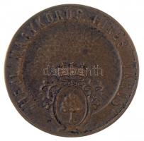 Makovinyi Kálmán 1935. "Arany János / Hej! Nagykörös hires város" Br emlékérem "Ludvi...